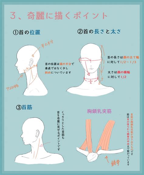 彼をゾクゾクさせる！首筋・鎖骨・耳の攻め方 